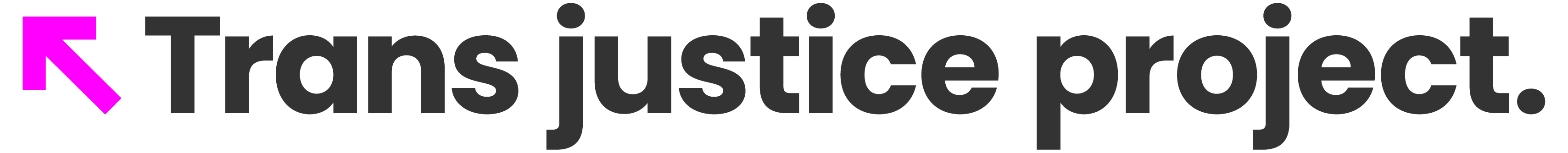 Trans Justice Project