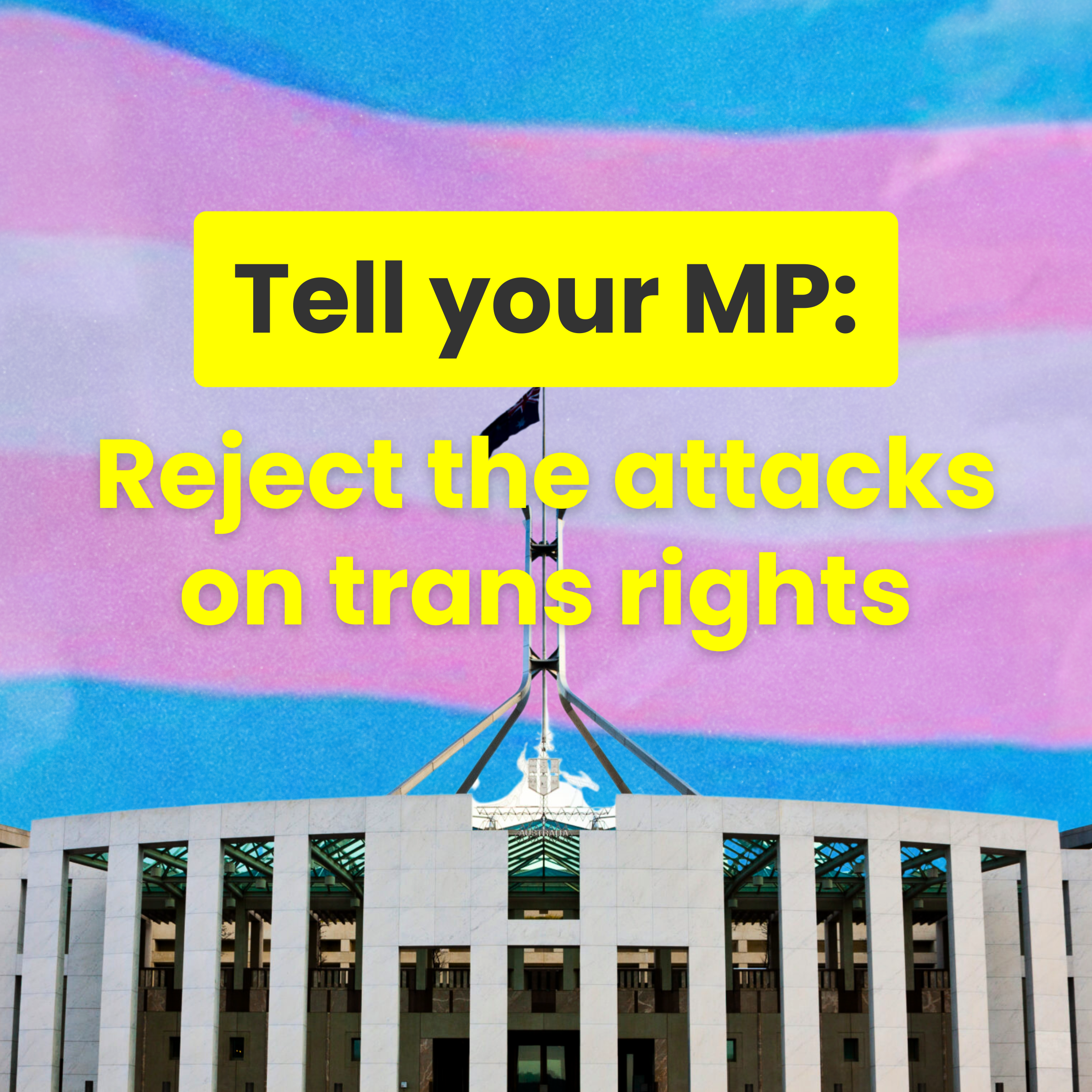 trans rights