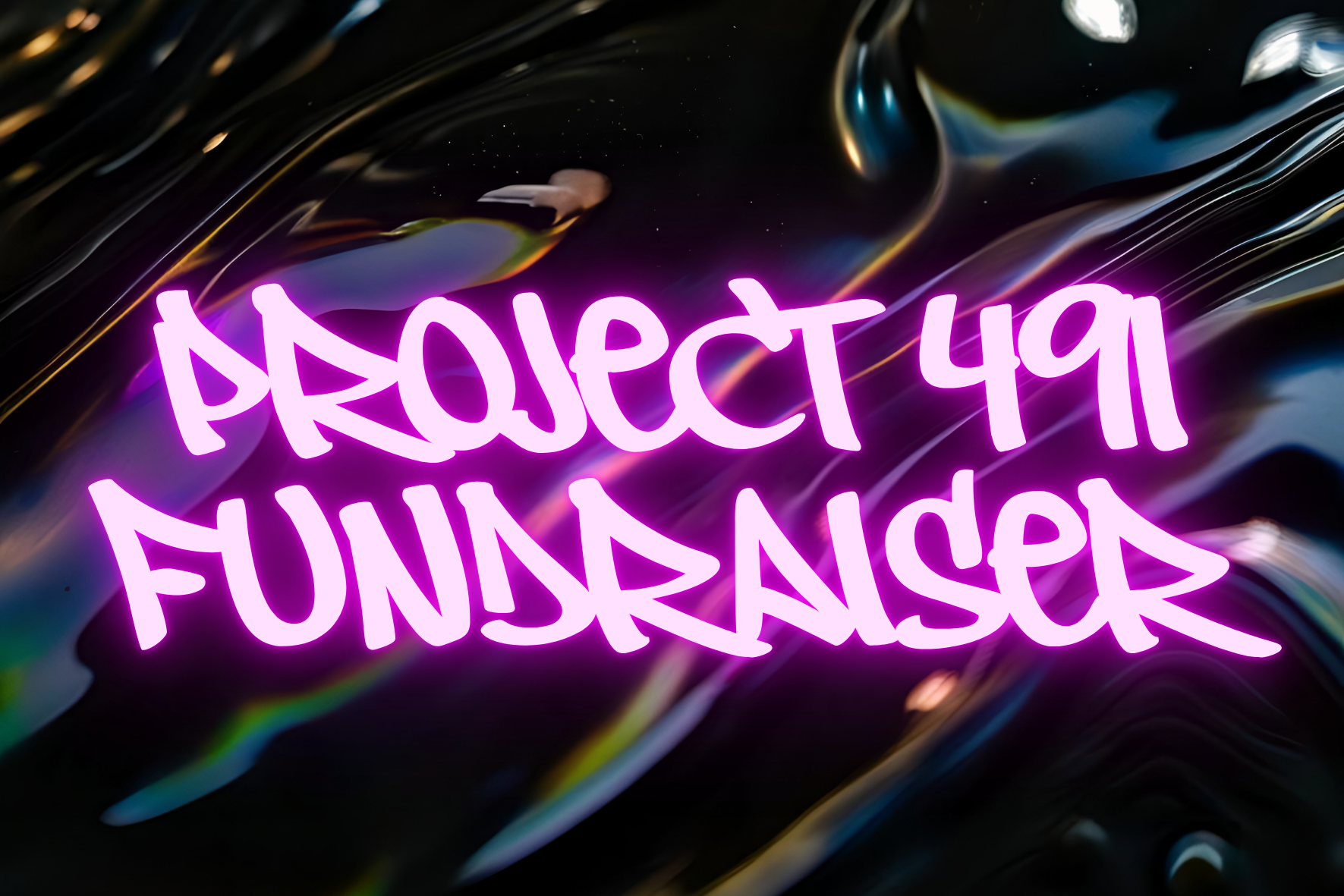 Project 491 Fundraiser Image